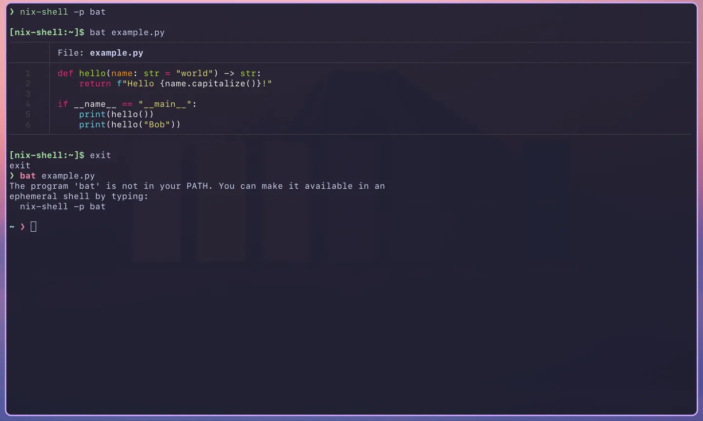 Bat not found in normal shell